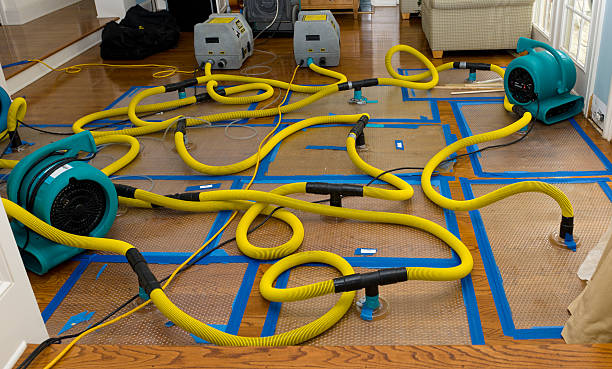 Professional Basement Flood Cleanup technician working in Somerville, AL